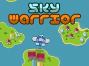 Sky Warrior