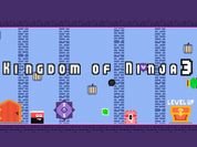 Kingdom of Ninja 3