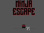 Play Ninja escape