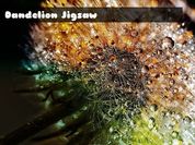 Play Dandelion Jigsaw