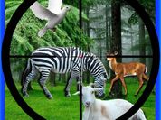 Play Real Jungle Animals Hunting