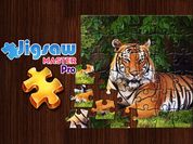 Play Jigsaw Master Pro