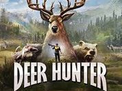 Play Bear Hunter Shooting King