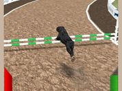 Play Crazy Real Dog Race