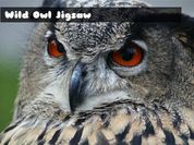 Wild owl Jigsaw