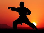 Play Karate Sunset Warriors