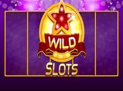 Play Wild Slot