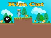 Play Kim Cat