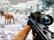 Play Sniper Hunting Jungle 2022