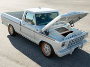 Ford F-100 Eluminator Slide