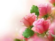 Play Pink Roses Puzzle