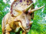 Play Giant Triceratops Puzzle