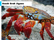 Play Beach Crab Jigsaw