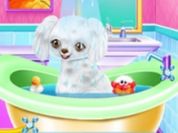 Play My New Poodle Friend - Pet Care Game