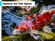 Play Japanese Koi Fish Jigsaw