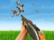 Play BIRD HUNTING Gun Fire Shooter
