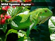 Play Wild Iguana