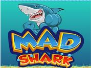 MAD Shark 2021