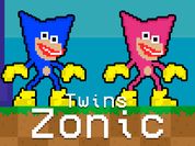 Play Twins Zonic