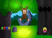 Play Funny Monkey Forest Escape