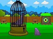 Play Rescue The Pigeon 2