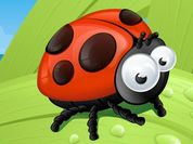 Ladybug Slide