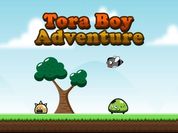 Play Tora Boy Adventure