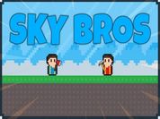 Play Sky Bros