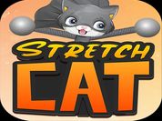 Play STRETCH CAT 3D