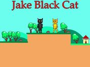 Play Jake Black Cat