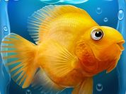 Play Fish tank Aquarium