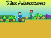 Play Tim Adventures