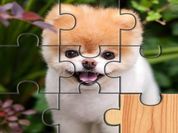 Cute Dogs Jigsaw Puzlle