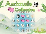 Animals Collection