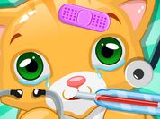 Little Cat Doctor Pet Vet Game