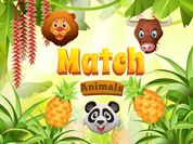 Play Match Animals 