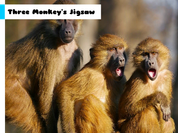 Play Three Monkey's Jigsaw