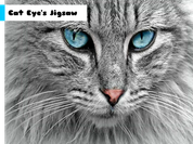 Cat Eye's Jigsaw