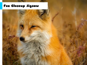 Fox Closeup Jigsaw