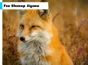 Play Fox Closeup Jigsaw