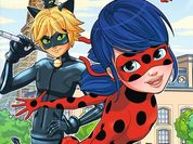 Play Ladybug Differences