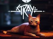 Stray