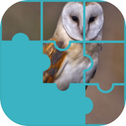 Owls Scary Puzzle Game