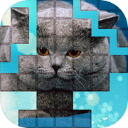 Play PicPu - Cat Picture Puzzle