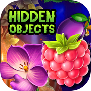 Play Hidden objects Occult