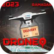 Fast Delivery: Drone Adventure