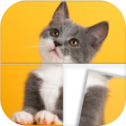 Play Swappy - Jigsaw Puzzles