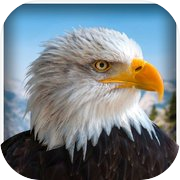 Pet American Eagle Life Sim 3D