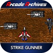 Play Arcade Archives STRIKE GUNNER