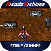 Arcade Archives STRIKE GUNNER